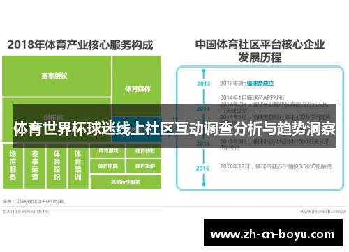 体育世界杯球迷线上社区互动调查分析与趋势洞察