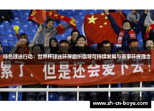 绿色球迷行动：世界杯球迷环保组织倡导可持续发展与赛事环保理念