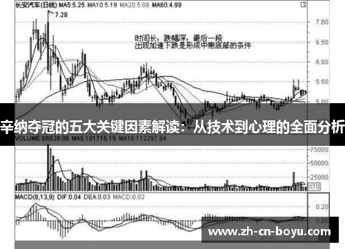 辛纳夺冠的五大关键因素解读：从技术到心理的全面分析