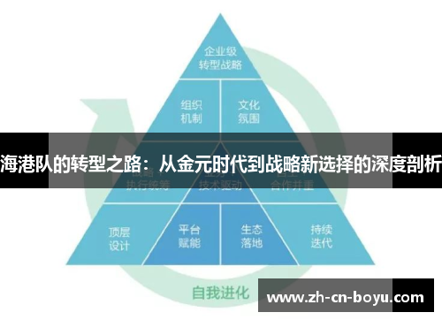 海港队的转型之路：从金元时代到战略新选择的深度剖析