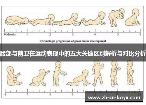 腰部与前卫在运动表现中的五大关键区别解析与对比分析