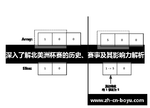 深入了解北美洲杯赛的历史、赛事及其影响力解析